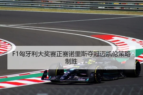 F1匈牙利大奖赛正赛诺里斯夺冠迈凯伦策略制胜